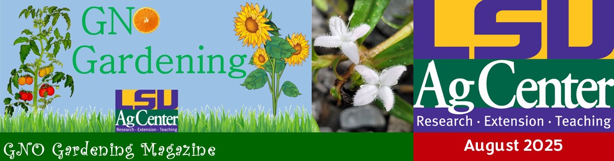 GNO Gardening Magazine - August 2025